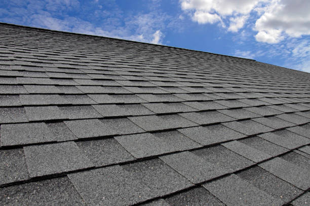 Best Roof Maintenance and Cleaning  in Summerfield, NC